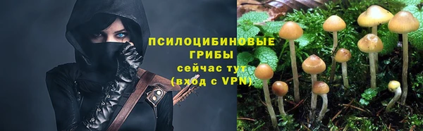 прущий лед Волосово