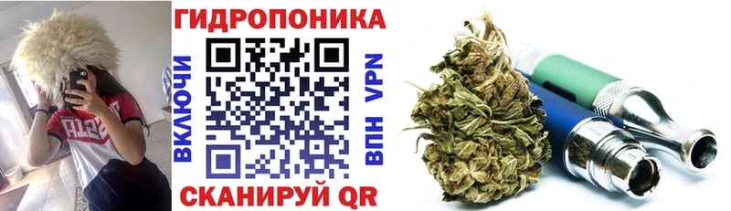 наркотики  Ермолино  Бошки марихуана гибрид 